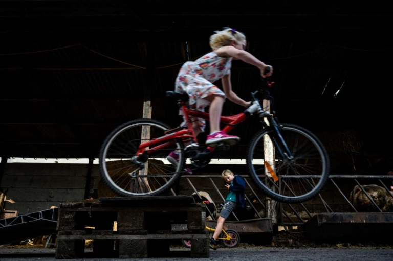Een soort springt met een fiets van een pallet, terwijl een ander soort toekijkt vanachter een scooter.